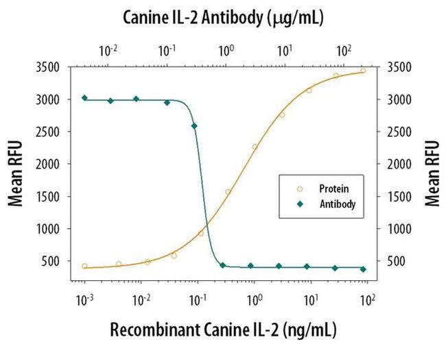 IL-2 Antibody