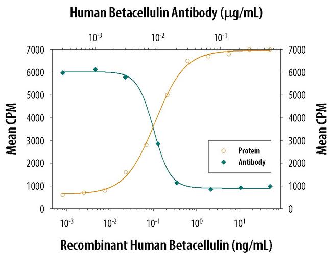 betacellulin Antibody in Neutralization (Neu)