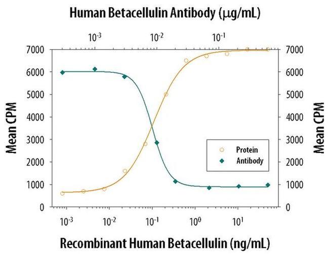 betacellulin Antibody