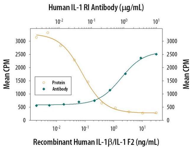 IL1R1 Antibody