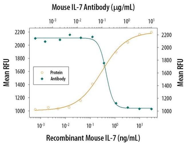 IL-7 Antibody
