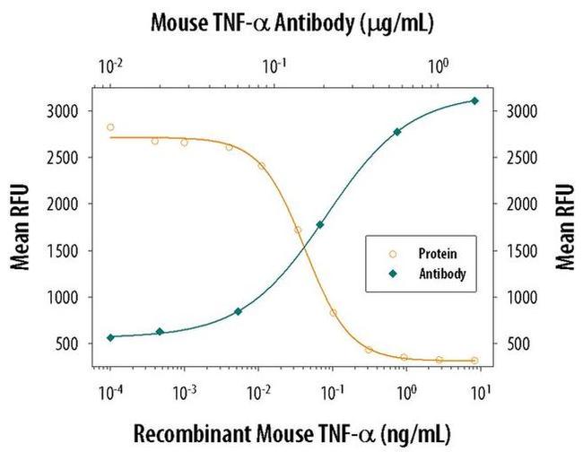 TNF alpha Antibody