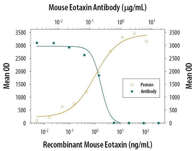 Eotaxin Antibody in Neutralization (Neu)