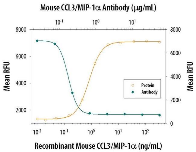 CCL3 Antibody