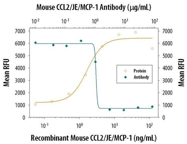 MCP-1 Antibody
