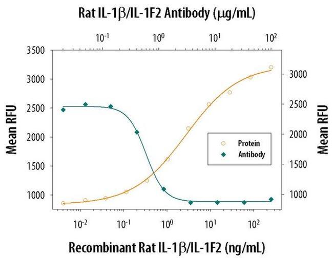 IL-1 beta Antibody