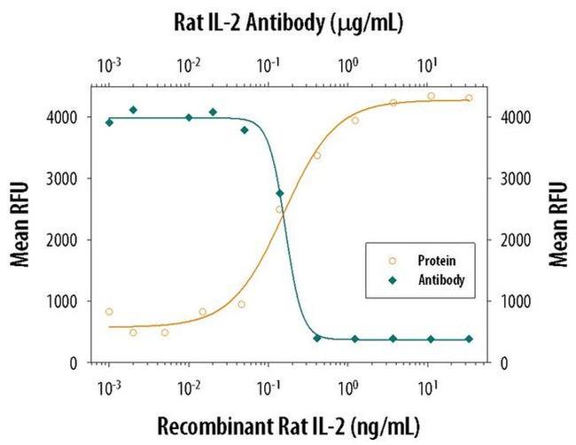 IL-2 Antibody
