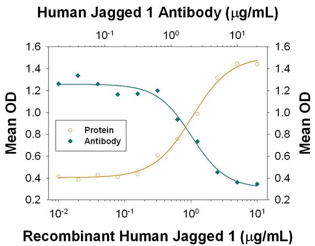 Jagged1 Antibody in Neutralization (Neu)