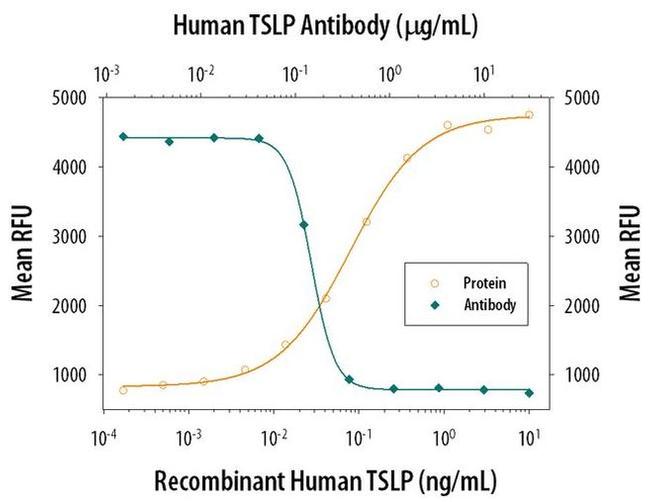 TSLP Antibody