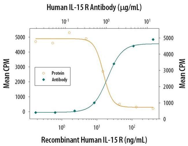 IL15RA Antibody