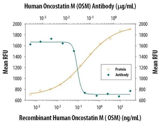 Oncostatin M Antibody