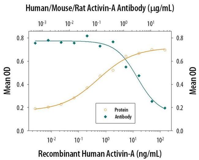 Activin A Antibody