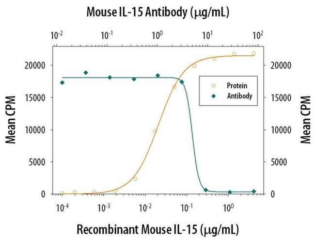 IL-15 Antibody