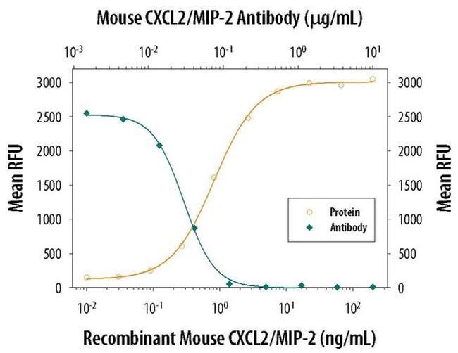 CXCL2 Antibody