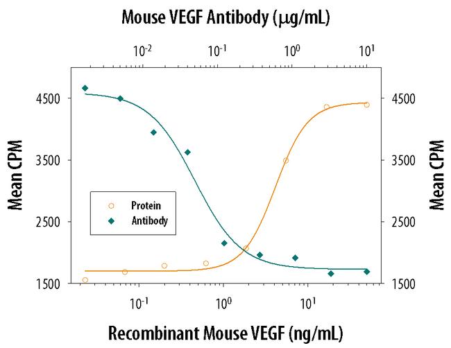 VEGF-164 Antibody in Neutralization (Neu)