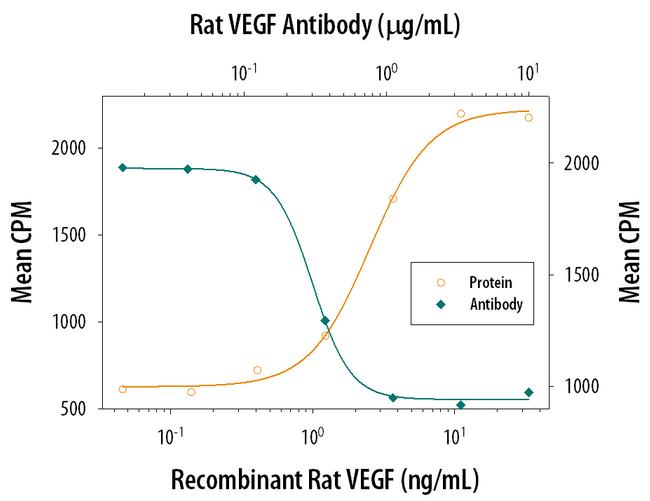 VEGF-164 Antibody in Neutralization (Neu)