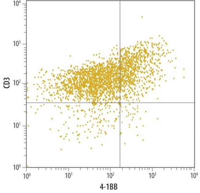 CD137 Antibody in Flow Cytometry (Flow)