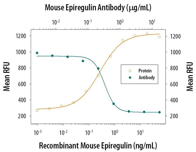 Epiregulin Antibody in Neutralization (Neu)