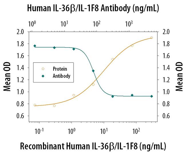 IL36B Antibody in Neutralization (Neu)