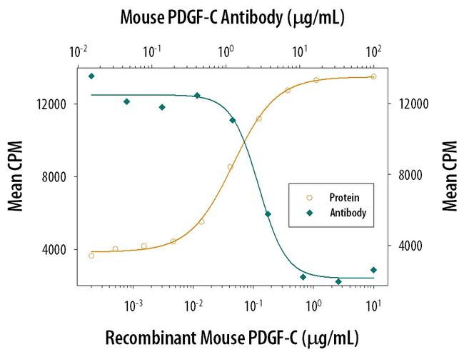 PDGF-C Antibody in Neutralization (Neu)