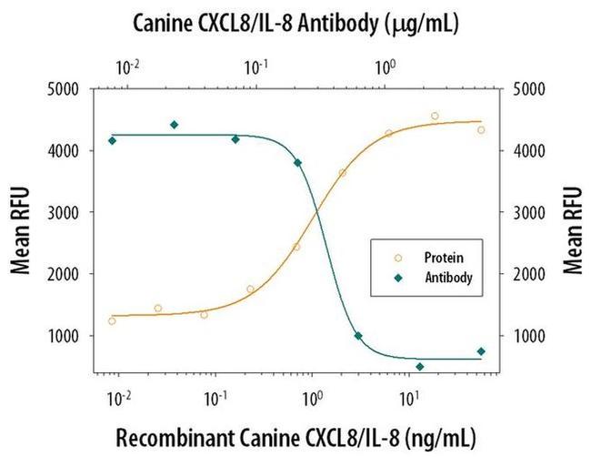 IL-8 (CXCL8) Antibody