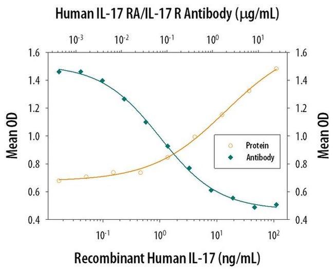 IL17RA Antibody