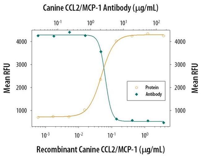 MCP-1 Antibody