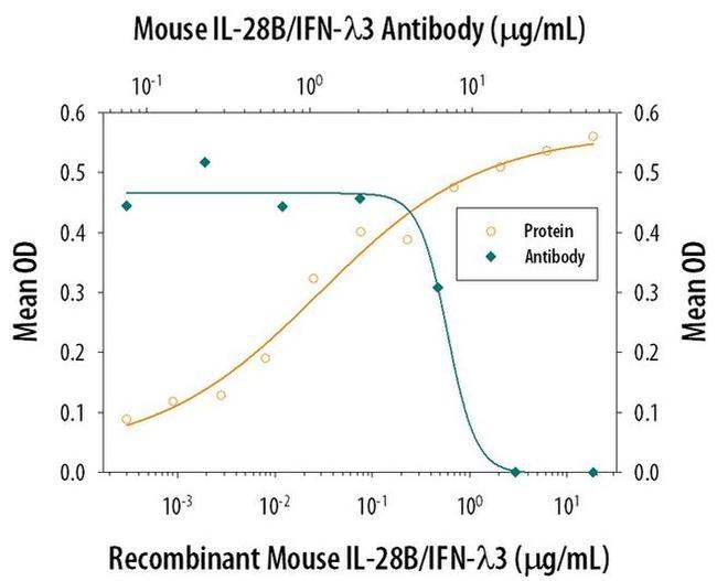 IL-28B Antibody