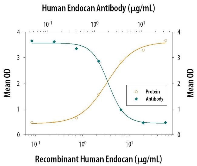 Endocan Antibody in Neutralization (Neu)