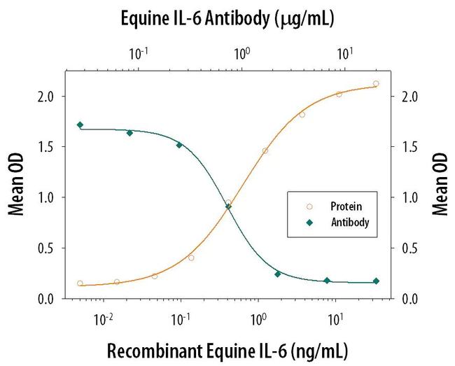 IL-6 Antibody in Neutralization (Neu)