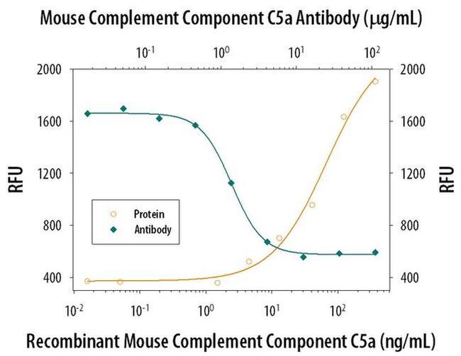 Complement C5a Antibody