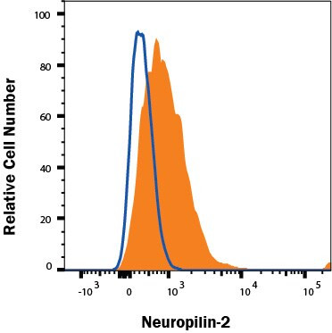 Neuropilin 2 Antibody in Flow Cytometry (Flow)