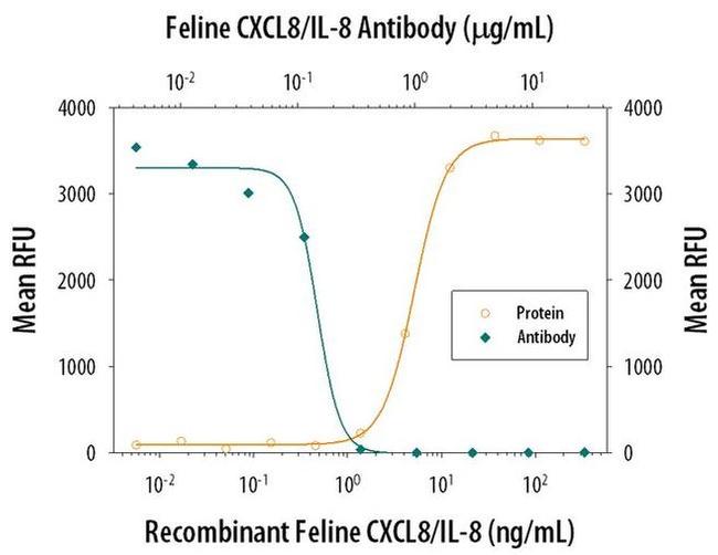 IL-8 (CXCL8) Antibody