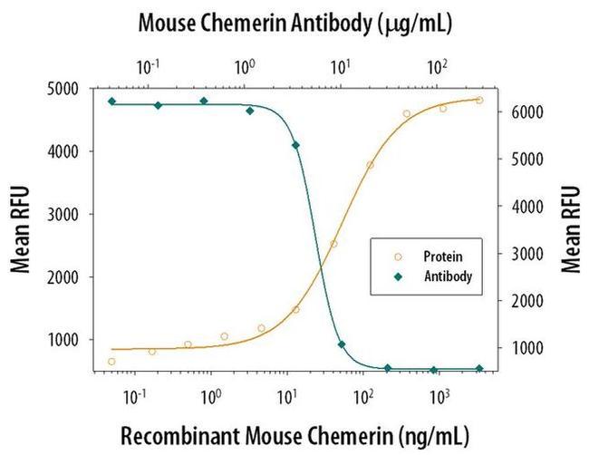 Chemerin Antibody