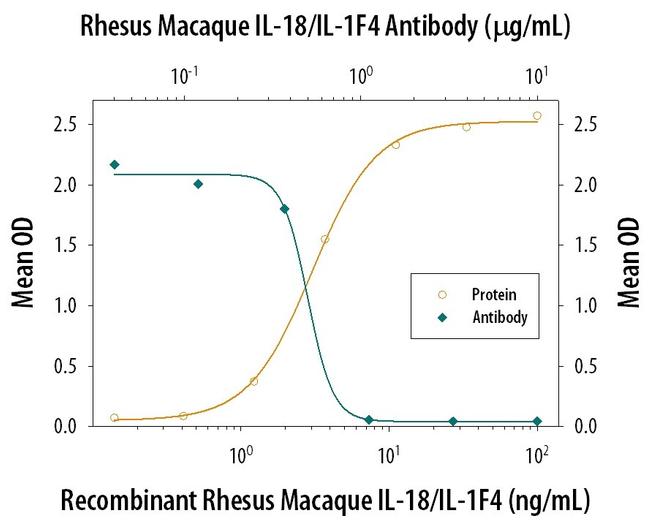IL-18 Antibody in Neutralization (Neu)