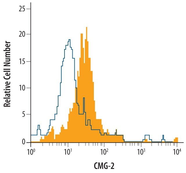 CMG2 Antibody in Flow Cytometry (Flow)