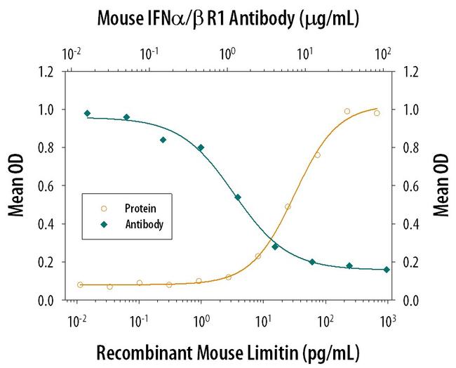 IFNAR1 Antibody in Neutralization (Neu)