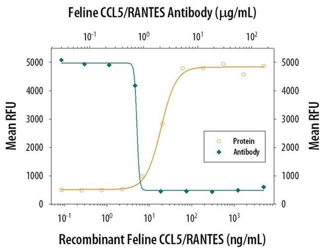 CCL5 (RANTES) Antibody