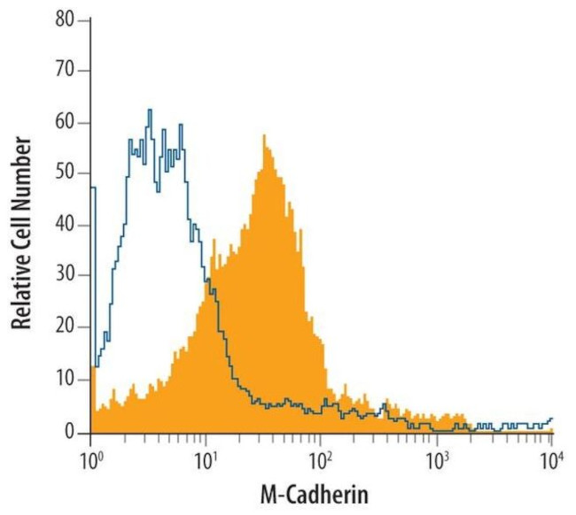 M-cadherin Antibody in Flow Cytometry (Flow)