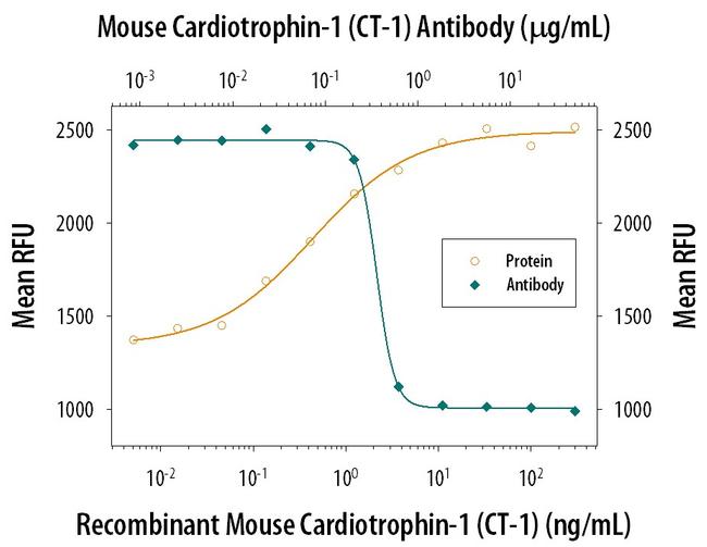 Cardiotrophin 1 Antibody in Neutralization (Neu)