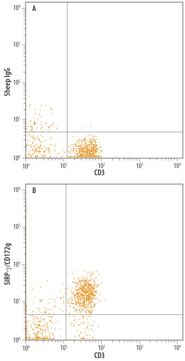 SIRP gamma Antibody in Flow Cytometry (Flow)