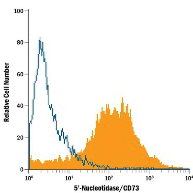 CD73 Antibody in Flow Cytometry (Flow)