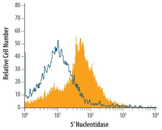 CD73 Antibody in Flow Cytometry (Flow)