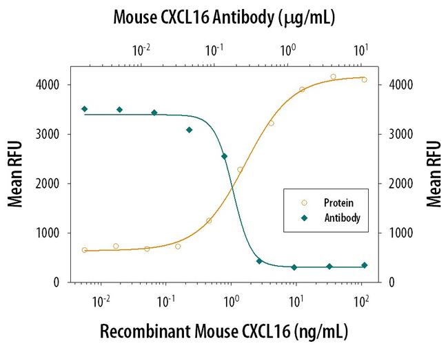 CXCL16 Antibody in Neutralization (Neu)