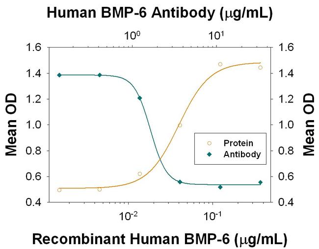 BMP-6 Antibody in Neutralization (Neu)