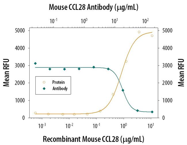 CCL28 Antibody in Neutralization (Neu)