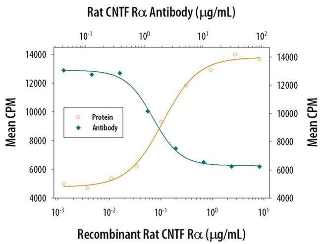 CNTFR Antibody