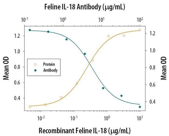 IL-18 Antibody