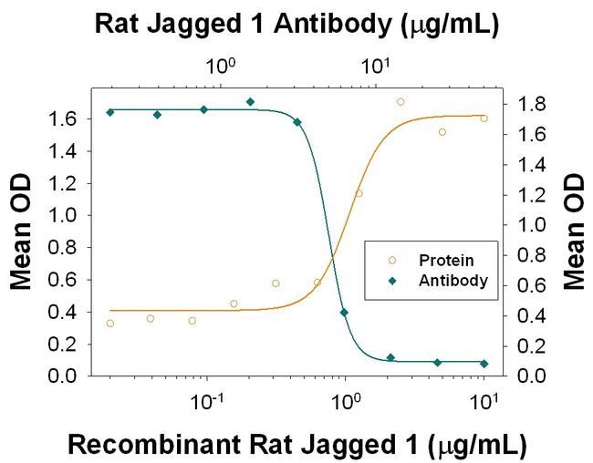 Jagged1 Antibody in Neutralization (Neu)