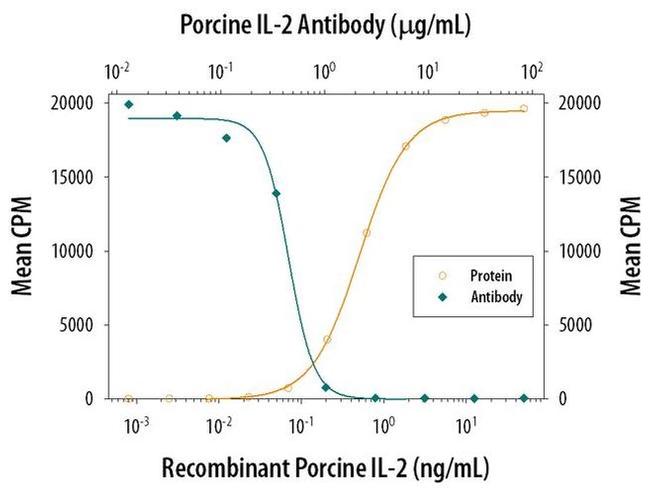 IL-2 Antibody